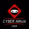 CISSP Cyberninja