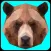 Bears.io