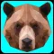 Bears.io