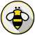 Spelling Bee