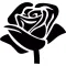 Black Rose Cosmetics