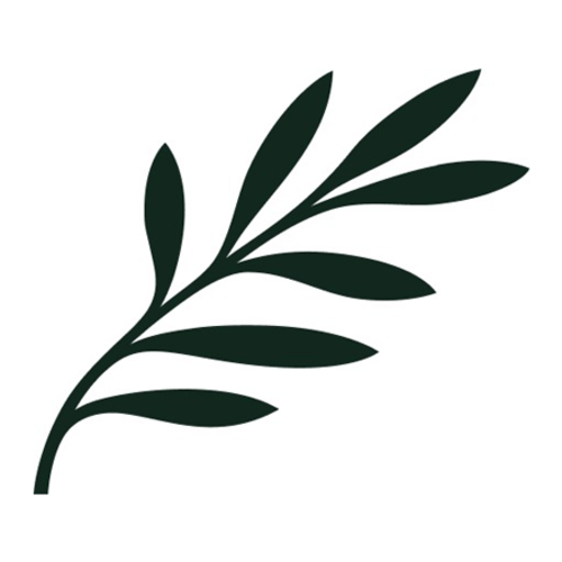 Cyprus Airways