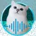 Cat Translator Simulator