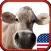 Genius Kid Photo - Educational quiz for kids