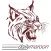 Daily Maroon