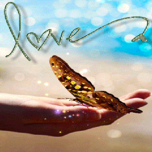 Butterfly Love Live Wallpaper Butterfly Love Live Wallpaper