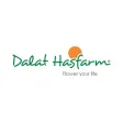 Hasfarm