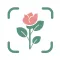 AI Plant Identifier Flower App