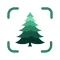 AI Tree Identifier: ID Trees