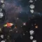 Boosty Space
