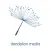 Dandelion Media