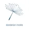 Dandelion Media
