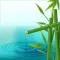 Bamboo Truyện