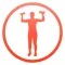 Daily Arm Workout - Trainer