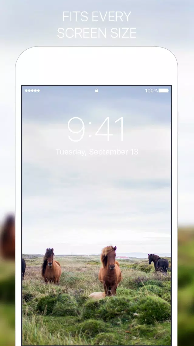 Nature Paper - New Wallpapers & Backgrounds Daily 스크린샷