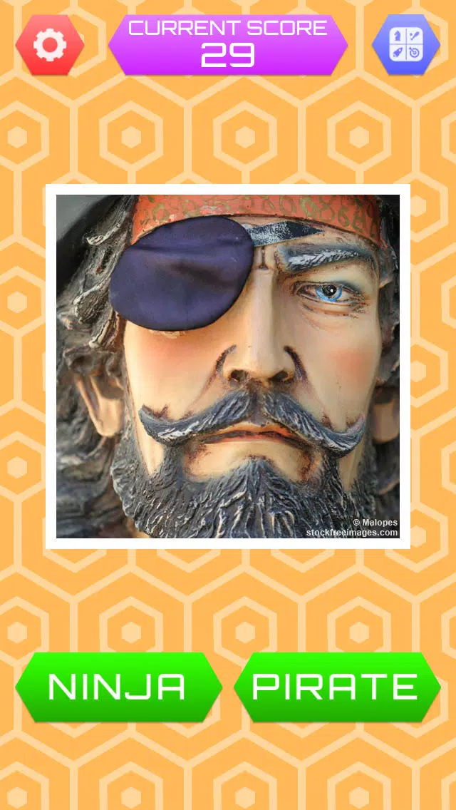 Ninja Or Pirate - Image Quiz Screenshots