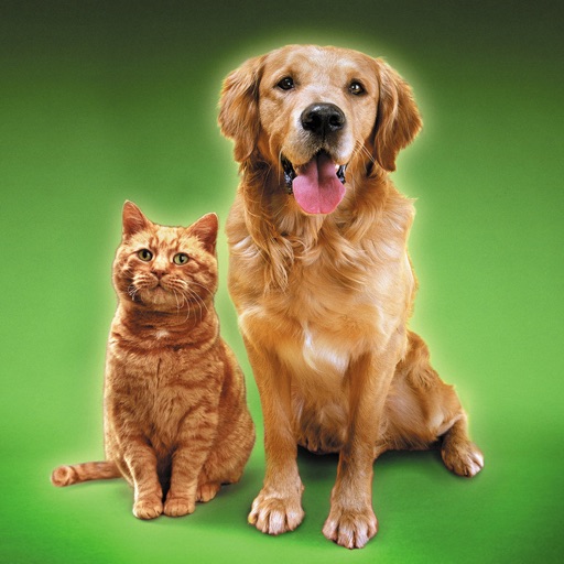 Cat Sounds & Dog Sounds Cat Sounds & Dog Sounds