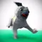 Doggy Chase