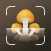 Mushroom identifier Picture ID