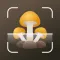 Mushroom identifier Picture ID