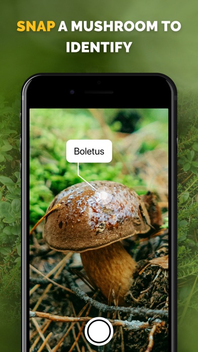 Mushroom identifier Picture ID Screenshots