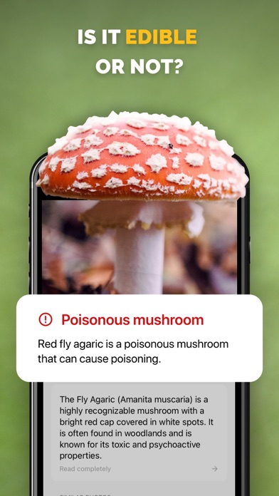 Mushroom identifier Picture ID Screenshots