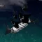 Naval Battle Online