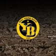 BSCYB Video Analysis