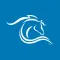 OcalaMarion Travel Guide