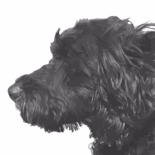 Darwin mPlayer Darwin mPlayer