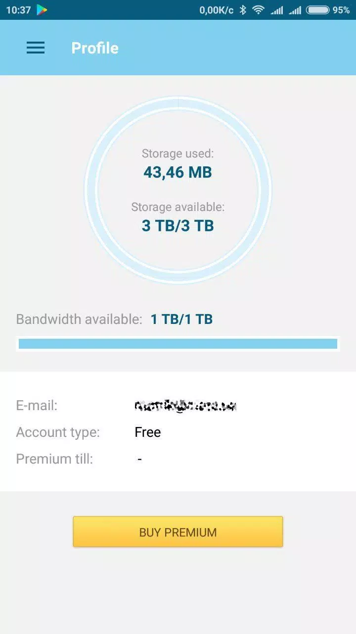 Datafile.com File Manager Screenshots