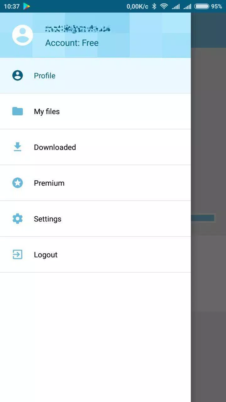 Datafile.com File Manager Screenshots
