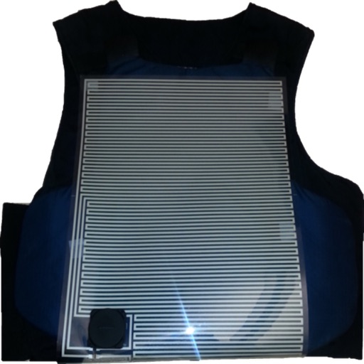 Automatic Injury Detection Automatic Injury Detection