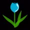 Tulip - Social Polls