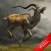 2016 Deer Hunting New Adventure Full - Wild Shooting challenge
