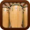 Conga & Bongo