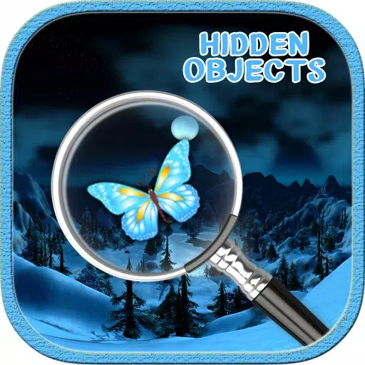 A Real World Hidden Object A Real World Hidden Object