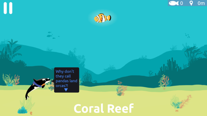 OrcinUS: Orca Pod Rescue Screenshots