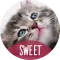 Cute animals Wallpapers