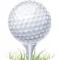 Golf Training Logbook
