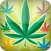 WEED ISLAND MATCH GANJA