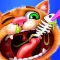 Pet Surgery