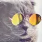 Pola - Swipe Filter Effects