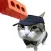 Dog & Cat Tennis
