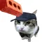 Dog & Cat Tennis