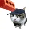 Dog & Cat Tennis