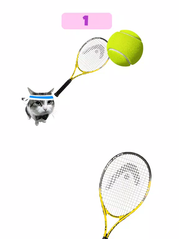 Tangkapan skrin Dog & Cat Tennis iPad 