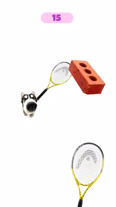 Tangkapan skrin Dog & Cat Tennis