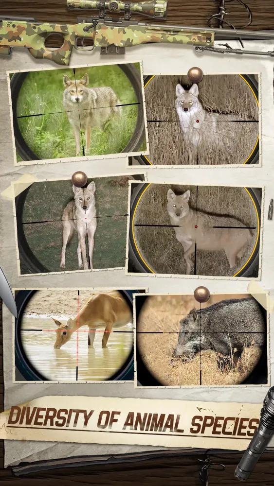 Hunting Sniper Screenshots