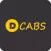 D Cabs Passenger
